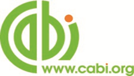 library_b91c7_cabi.png